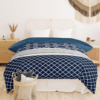 Winter Microfiber Flannel Reversible Double Bed Printed AC Comforter (Blue)